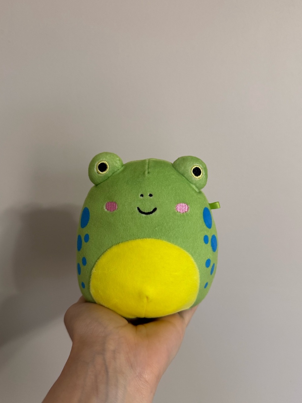 Limell the Frog 5” Squishmallow
